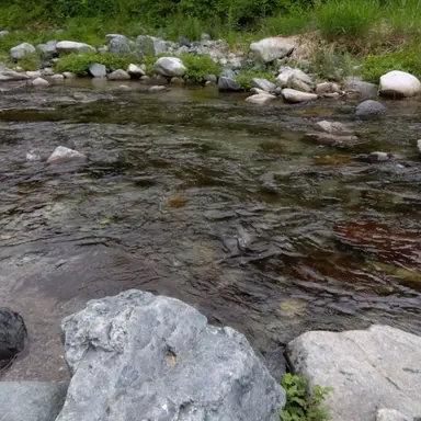 Profile image of わち