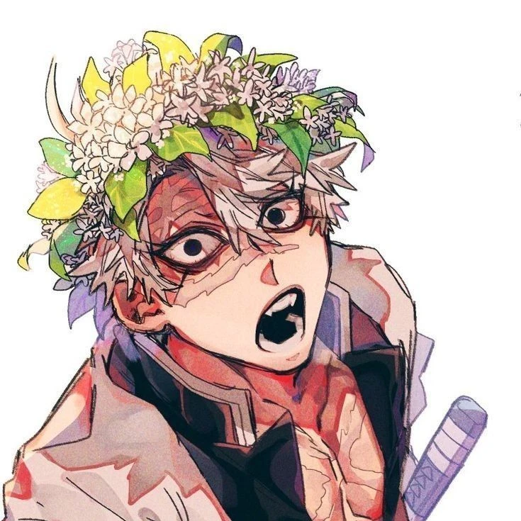 시나즈가와 사네미