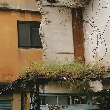 Profile image of 조원상