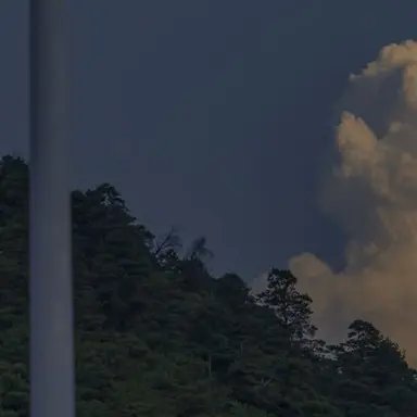 Profile image of 庵シンジ