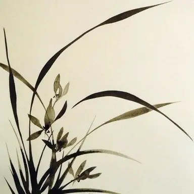 Profile image of 백난영