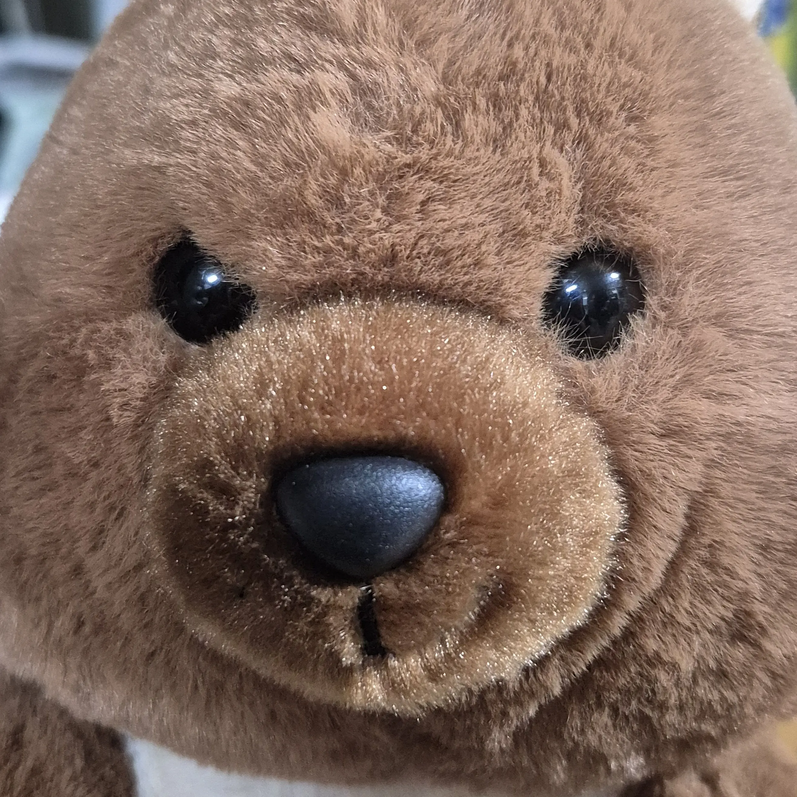 TameRadio7832의 곰수인 박성진