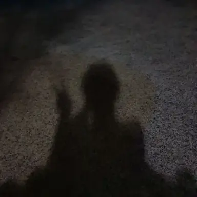 Profile image of 아이유