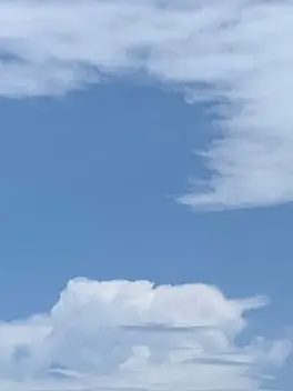 rui_99의 れるくんのにゃんこたん