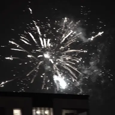 Profile image of 고민형