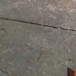 UglyThumb1735의 Caught at the Mall