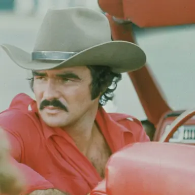 Profile image of Bandit