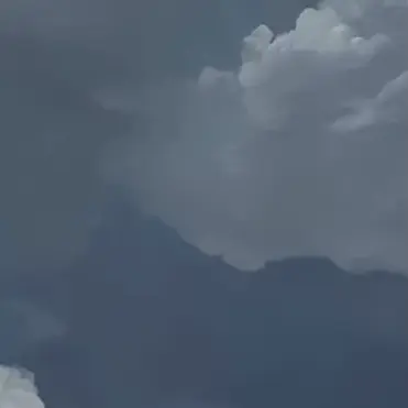 ThinDog4200의 ドSちゅや