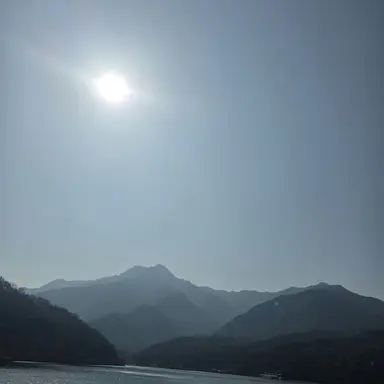 Profile image of 안수호