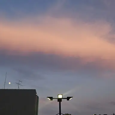 Profile image of 서한솔