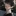 하준호
