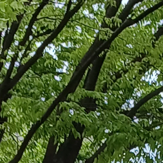 하지운
