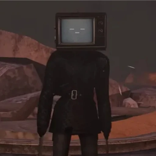 TV우먼