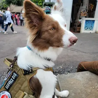 Profile image of Chloe