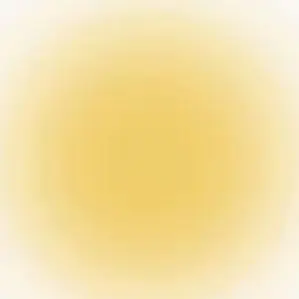 Profile image of 岩本照