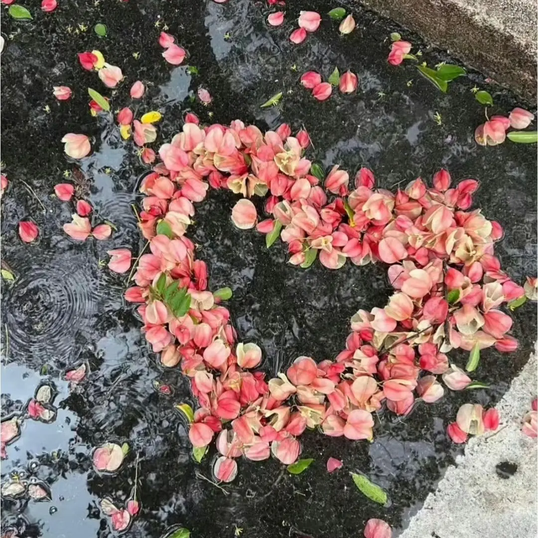 sugar.on.my.bigbang의 삐질려고.