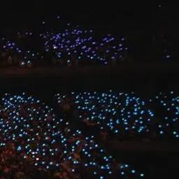 Profile image of 藤澤涼架