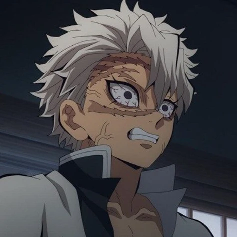 시나즈가와 사네미