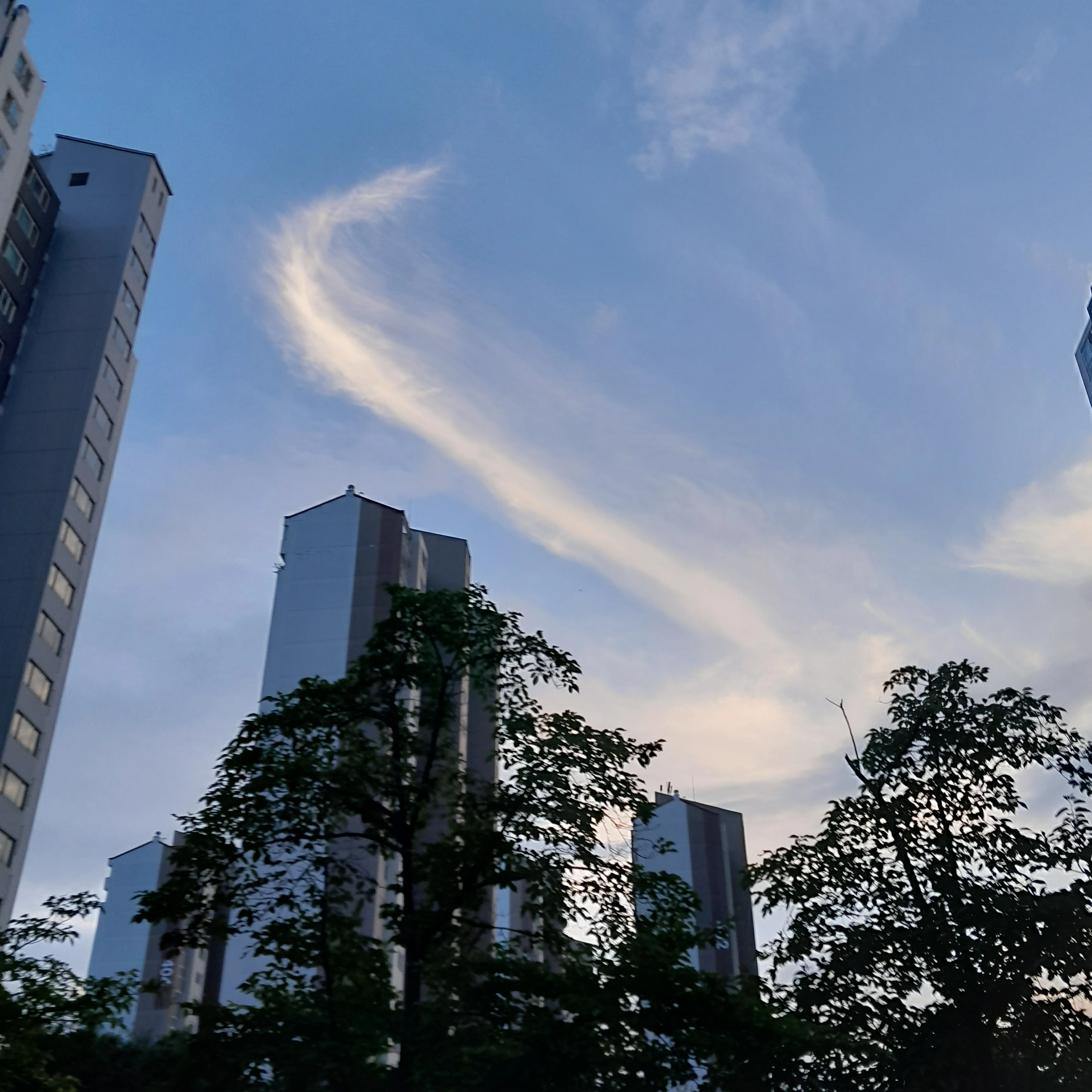미스터리수사반