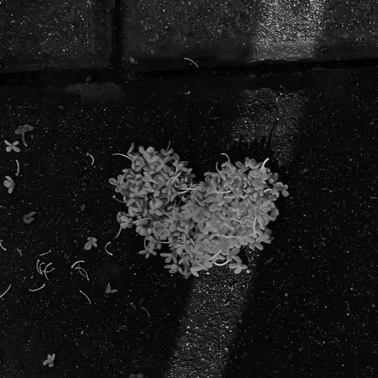 Pudding_Cat의 I'm sorry, Dad.