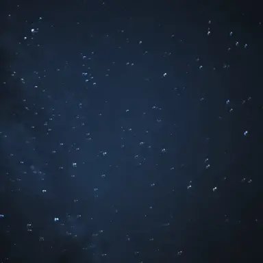 Profile image of 하리