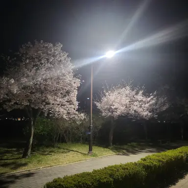 Profile image of 미도리