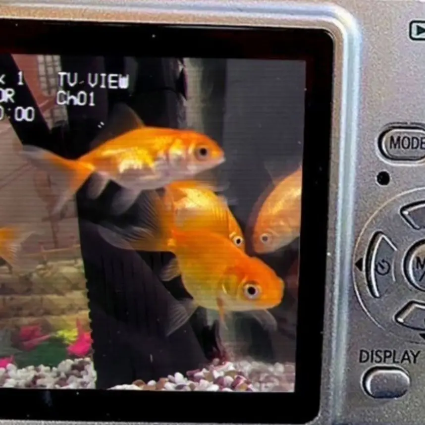 Slin의 1214&0911&1228&0423