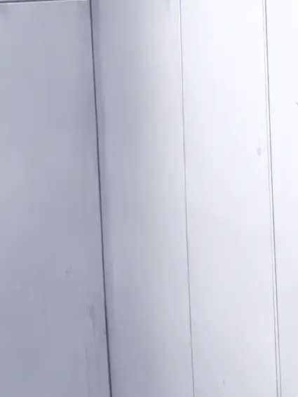 HugeFrond6935의 愛してやまない…¿?