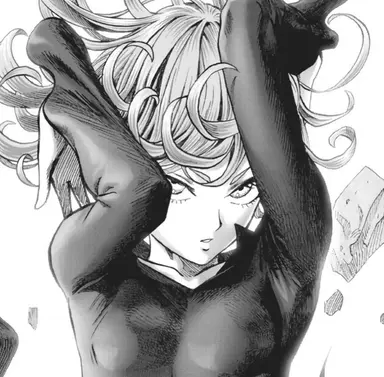 Profile image of タツマキ