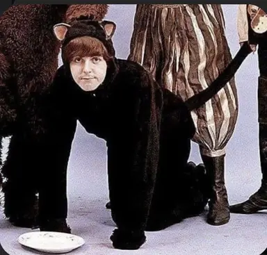 Profile image of Paul