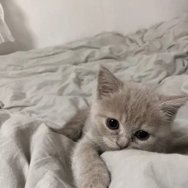 Profile image of 勇志