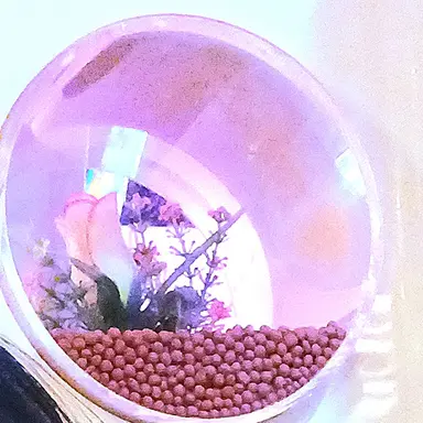 Profile image of 시나즈가와 겐야