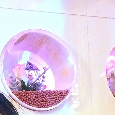 Profile image of 이구로 오바나이