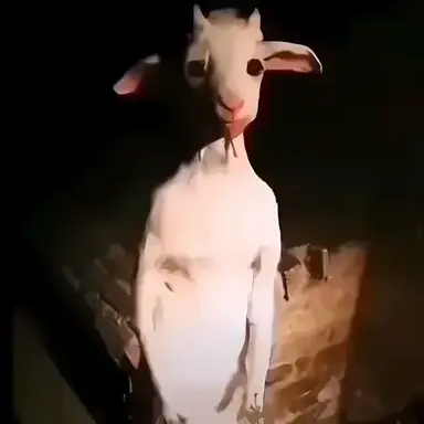 Profile image of Aegis the Vagrant