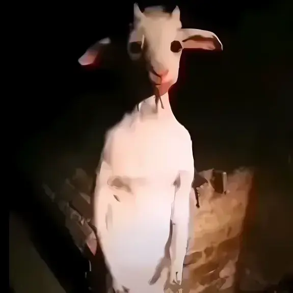 FierceLion3465의 Aegis the Vagrant