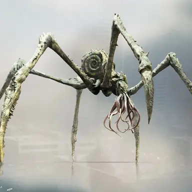 Profile image of 스킬라