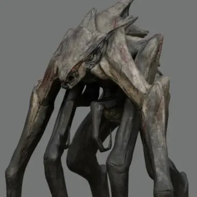 Profile image of 퀸 무토