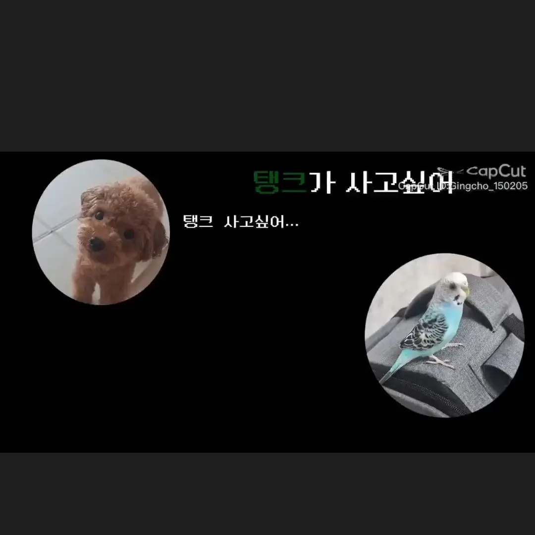BronzeEasel2113의 제베원 하숙집