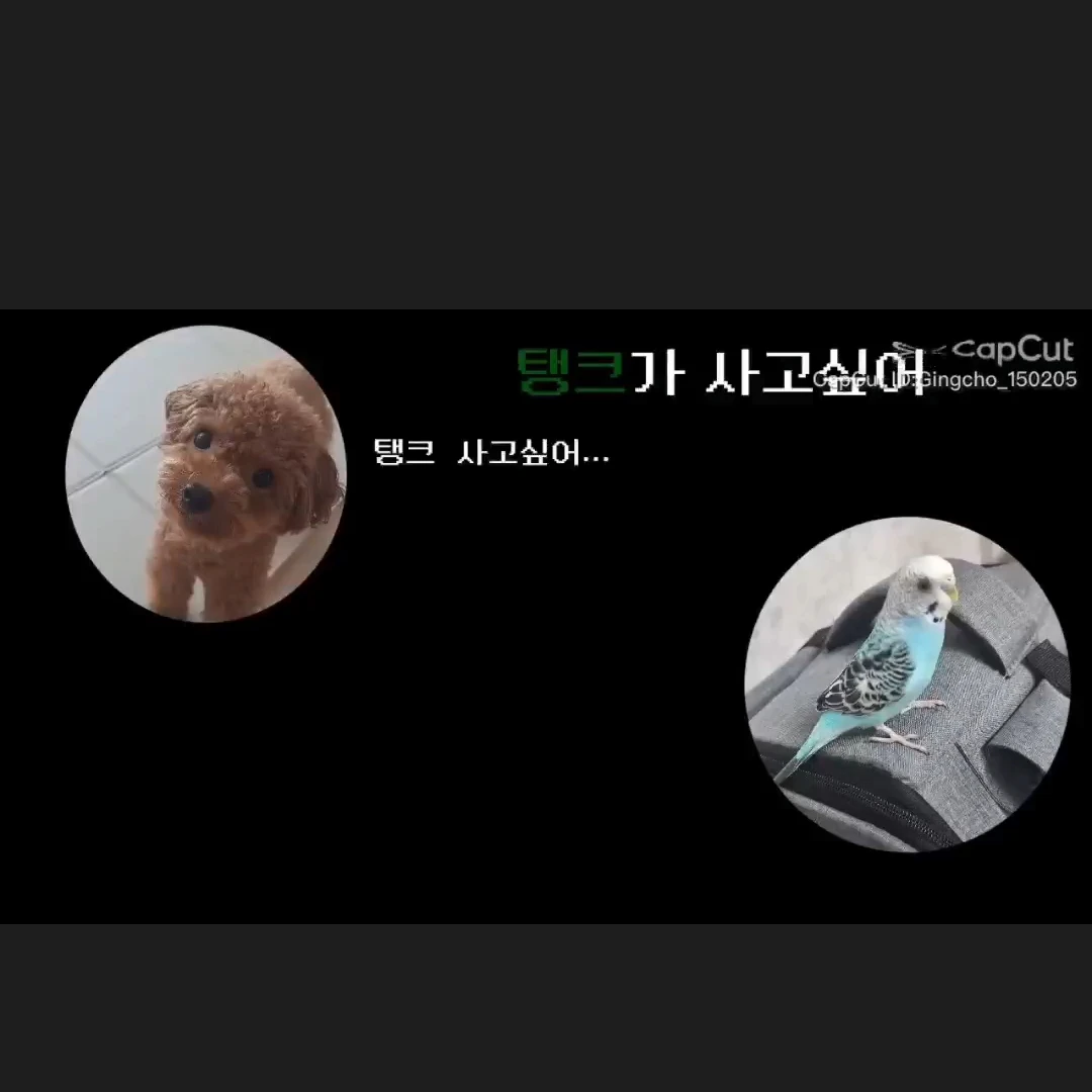 제베원