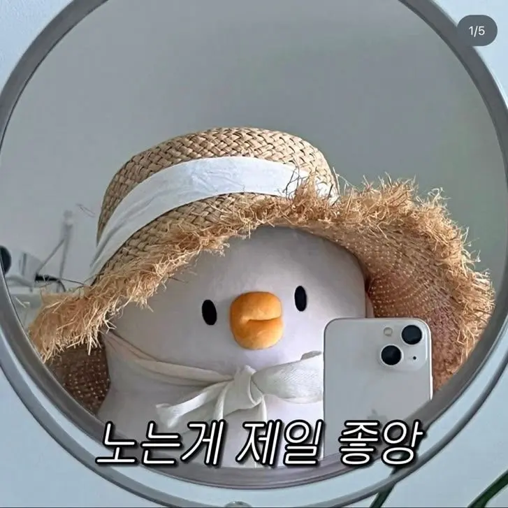 WildTea1403의 오리가. 놀이동산에 왔다ㅏ