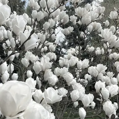 Profile image of 미수반 1기