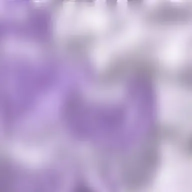 Profile image of 辰哉