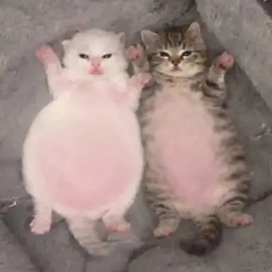 Profile image of 뚱아 뚱이