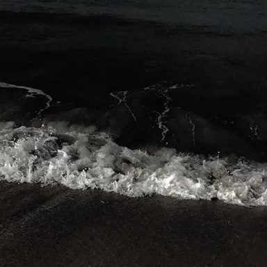 Profile image of 윤예성