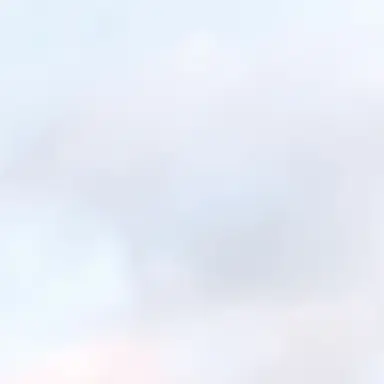 Profile image of 김유아