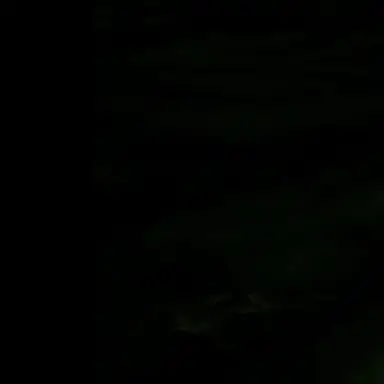 Profile image of 잭