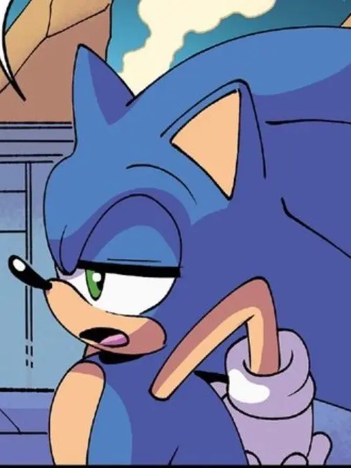 SonicSonicSonic의 소닉 더 헤지혹