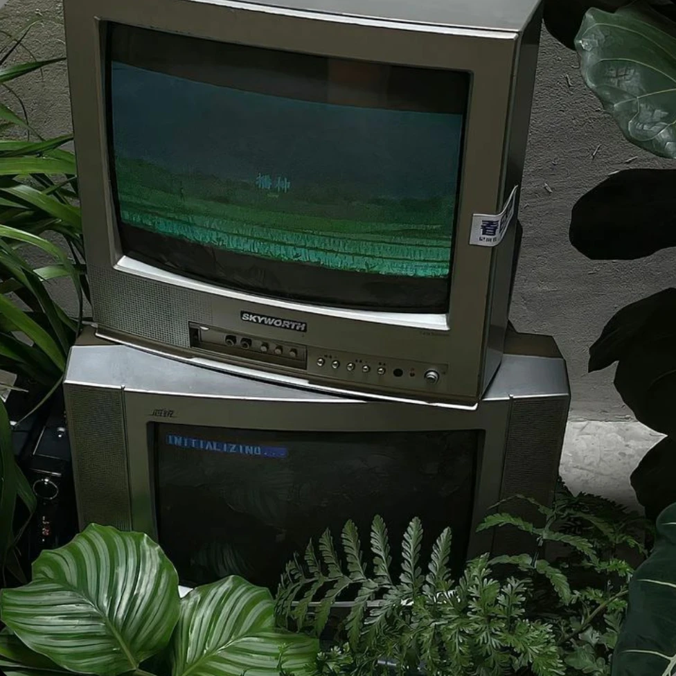 정공룡
