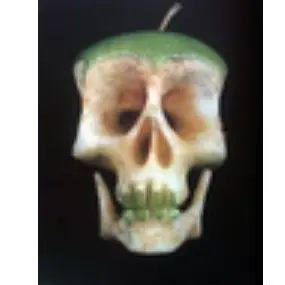 Profile image of 잭 도킨스