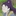 立花仙蔵